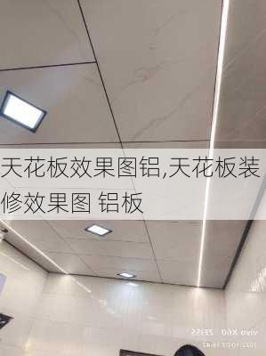 天花板效果图铝,天花板装修效果图 铝板