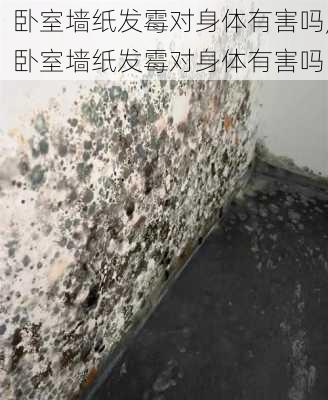 卧室墙纸发霉对身体有害吗,卧室墙纸发霉对身体有害吗